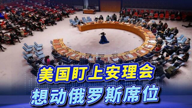 美国拒发入境签证,还想夺走俄“一票否决权”,中方亮明态度