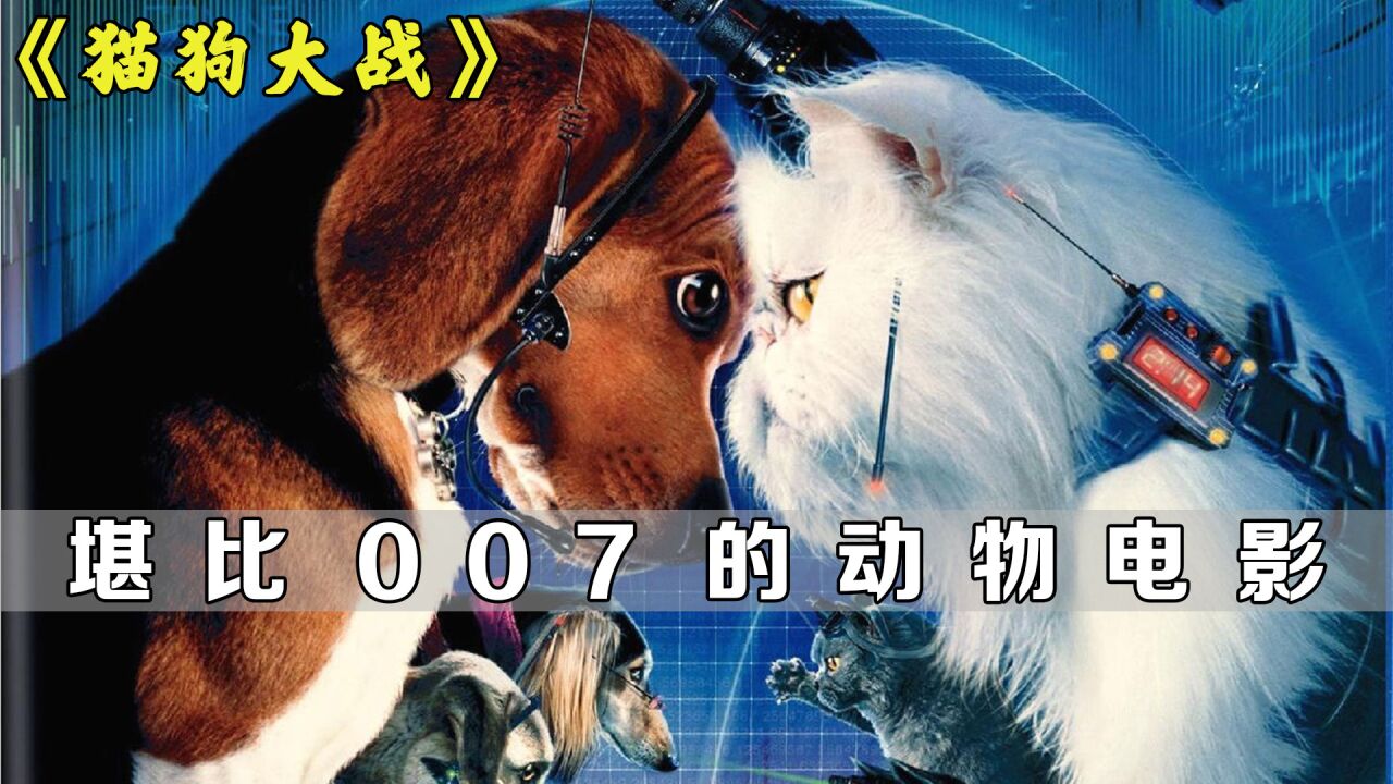 猫咪想要统治世界，却被特工狗狗阻止，奇幻喜剧《猫狗大战》_腾讯视频