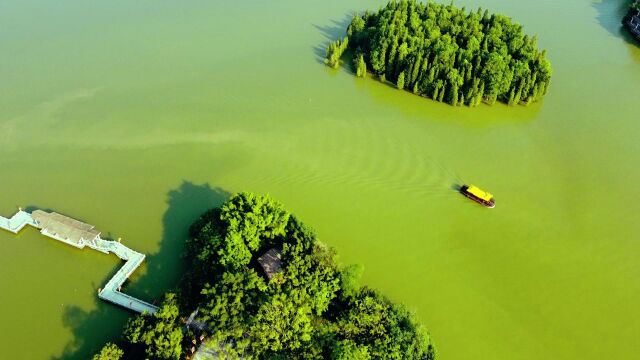 9月25日 ;国庆特辑,醉美肇庆湿地公园