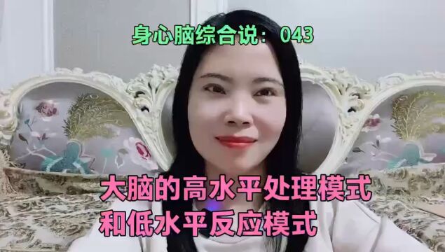 大脑的高水平处理模式和低水平反应模式