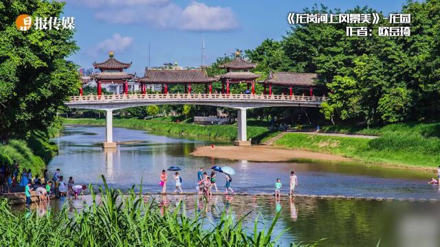 镜头下的龙岗公园,龙岗区公园摄影大赛作品展开展