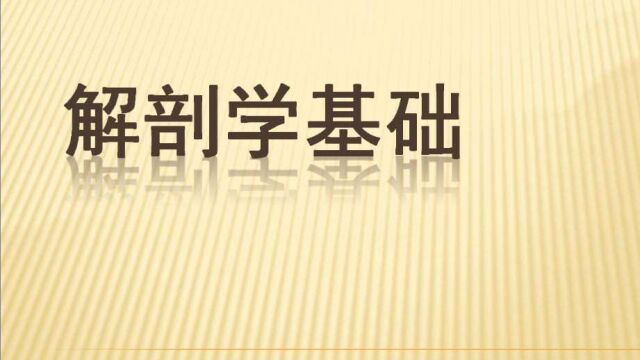 【第11课】解剖学精讲之 神经系统 第二节 脑2