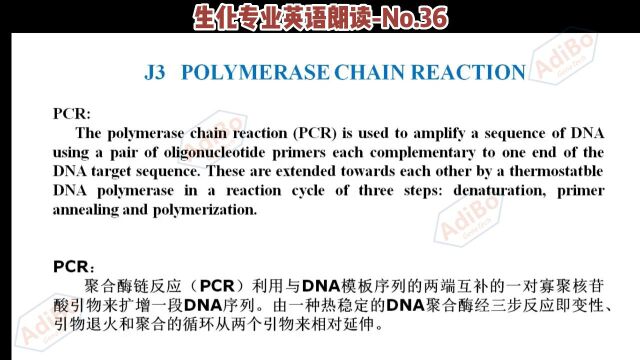 生化专业英语朗读No.36助力考研传播知识也是一种社会公益.