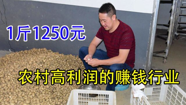 80小伙发现大商机,加工1吨利润3580元,1天出12吨,致富新项目