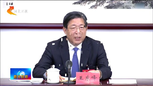 廊坊广电ⷥ䴦ᤸ覈‘省代表团讨论十九届中央纪委工作报告和《中国共产党章程(修正案)》