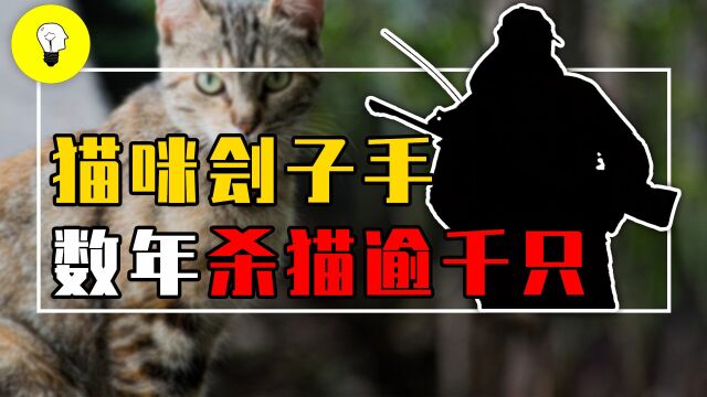 澳洲猎猫人究竟有多残忍?为了猎猫手段尽出,他到底为何这么做?