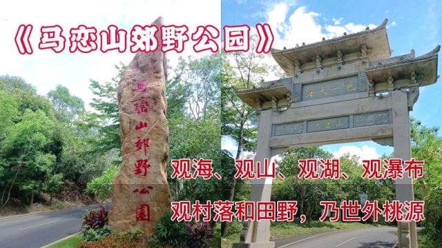 马恋山郊野公园,有600多年古村落,据说还有最大的瀑布和梅花园