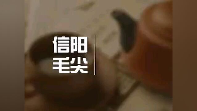 中国茶文化系列【十三大名茶】之毛尖