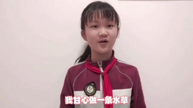 《再别康桥》