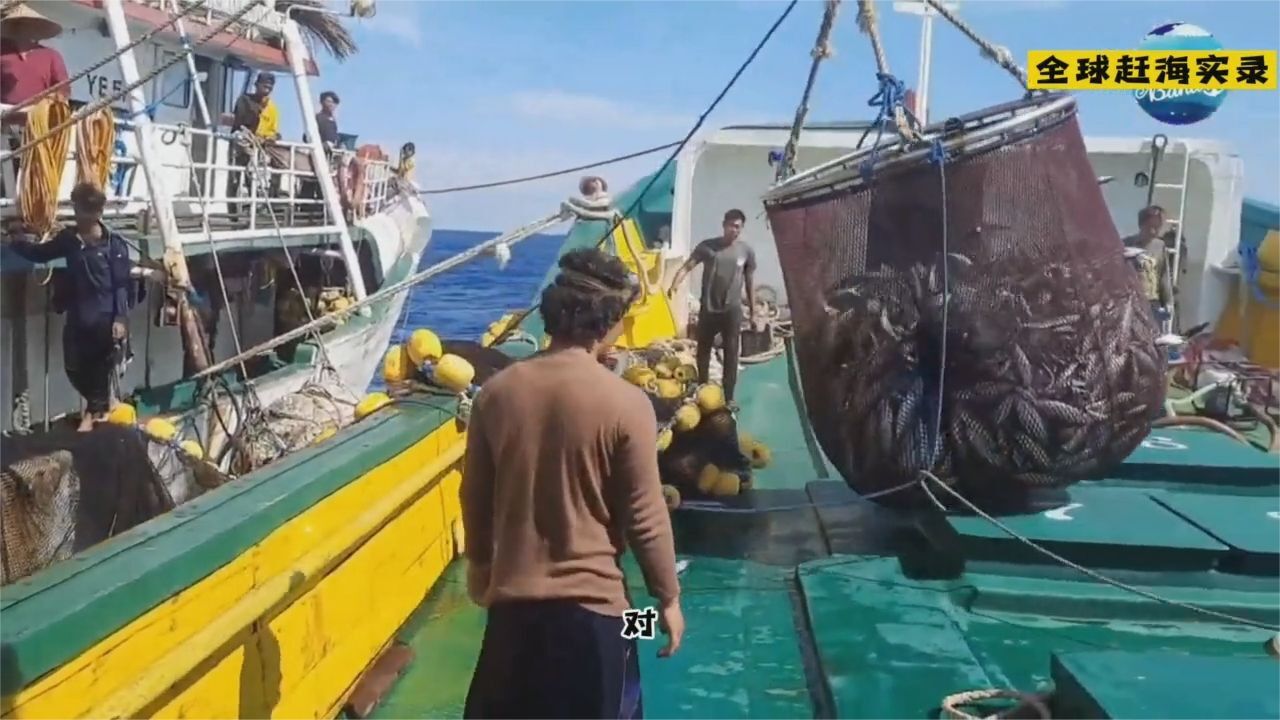 国外远洋捕捞,两艘船用大型环网围捕鲣鱼群,平时少见的海捕方式_腾讯视频
