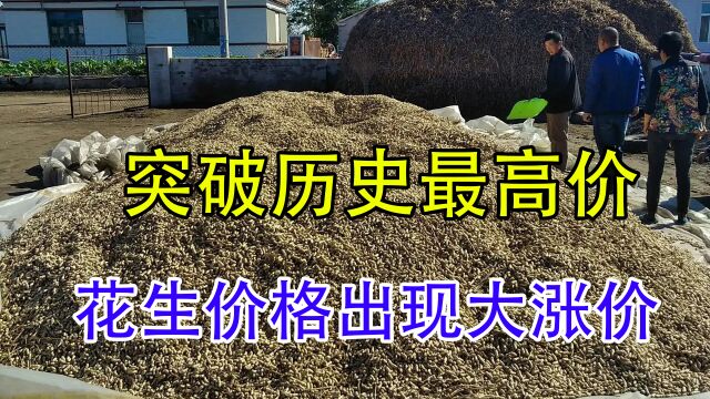 河南花生价格“大涨”已成定局,能否突破4.5元?答案来了