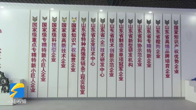 问政山东|“小巨人”企业遭遇成长烦恼 泰安市工信局:奖补月底到位 整合各种优惠政策