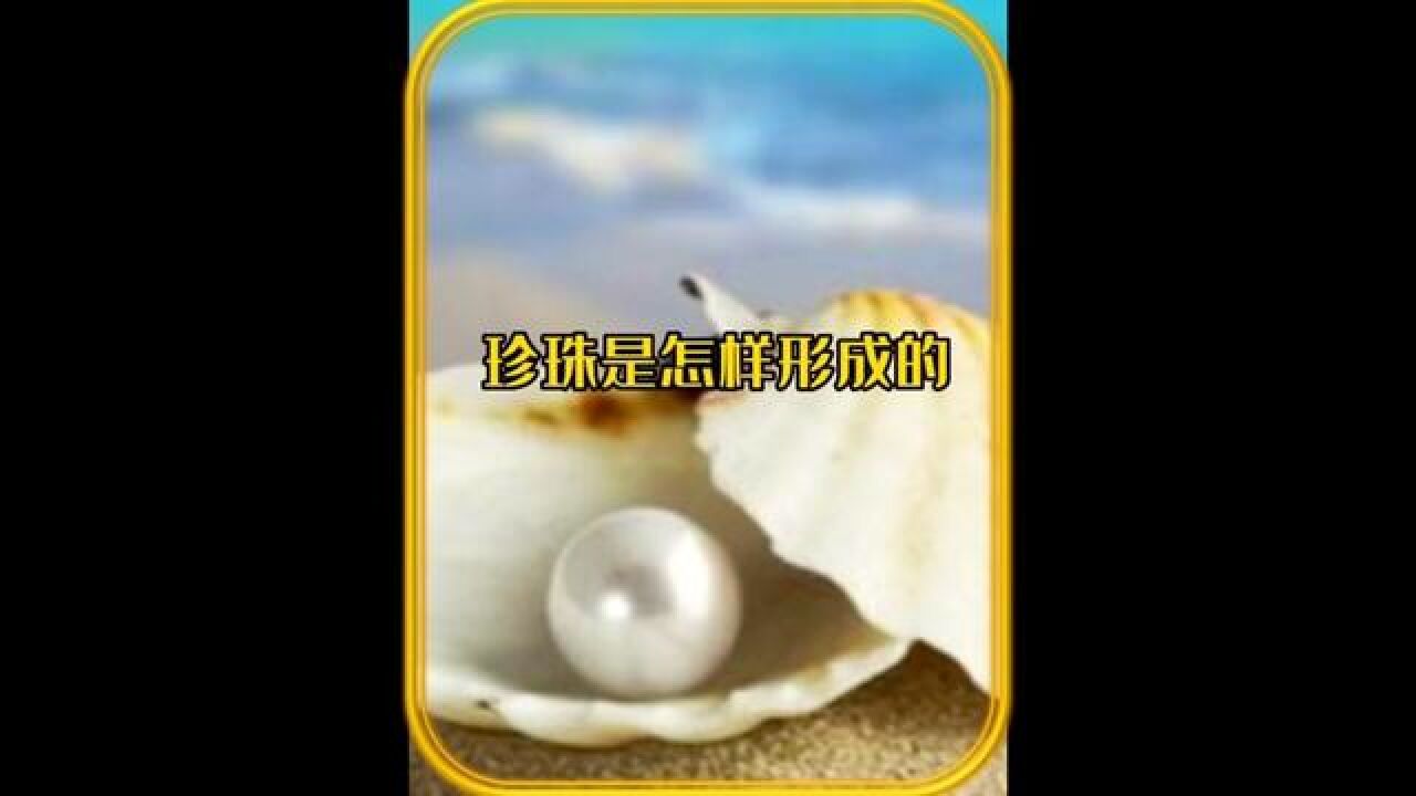 珍珠是如何形成的？珍珠的一生！#珍珠形成过程#科普一下#涨知识_高清