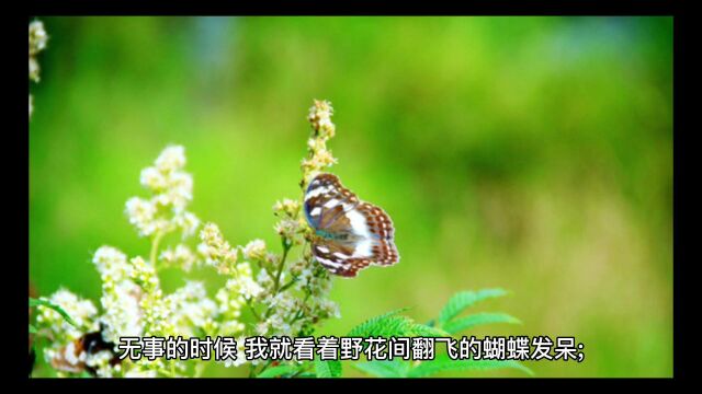 【有声书】第1章 这个不是BUG | 起点“阅见非遗”主题征文《麦芽博士:这个不是BUG》