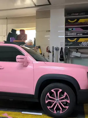 浪漫至死不渝#浪漫 #撸车日常 #隐形车衣 #大狗 #粉色