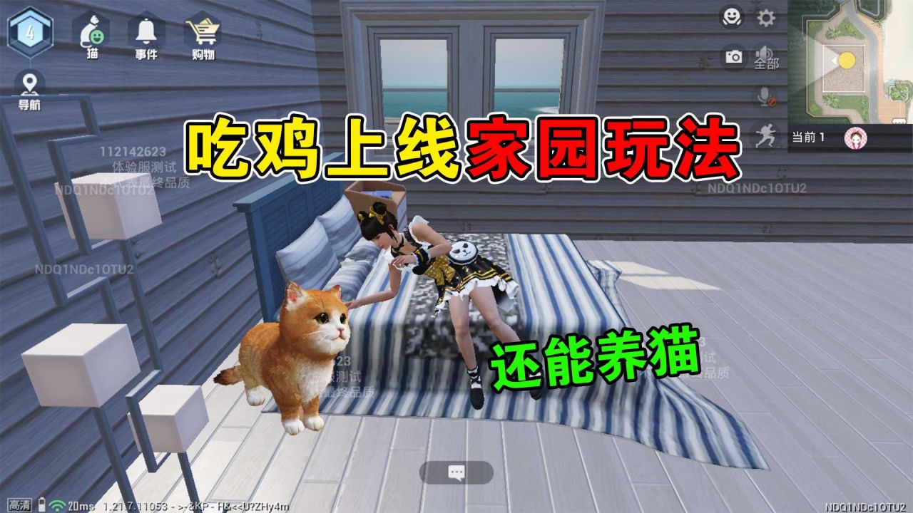 和平精英：体验服上线家园玩法，养一只属于自己的猫咪！