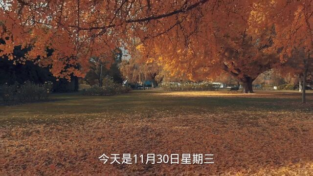 迎接12月