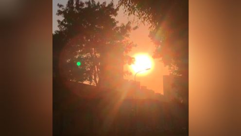 唯美日出光晕 城市街道日出日落 拍摄运镜素材 视频素材 #日出素材 #素材 #视频素材