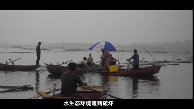 美丽河湖展播|生态云蒙湖 绿色水源地