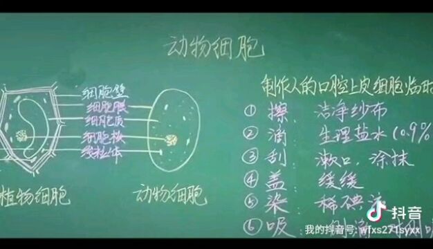 看看我们优秀的板书