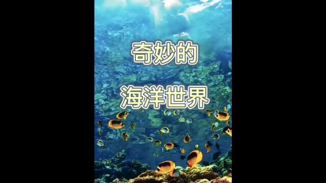 神秘的海洋世界,等着你和你最爱的人一起去探索!