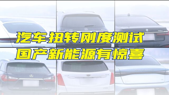 明星车型扭转刚度大测试,比亚迪海豹 的表现很惊喜!