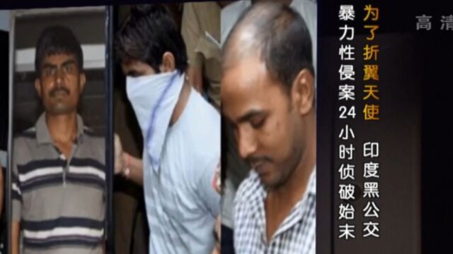 六名嫌疑人被逮捕,案件终于得以侦破,还原案件经历