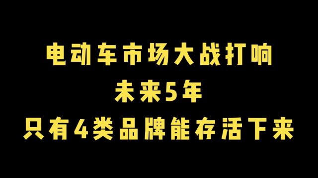 电动车市场大战打响,未来5年,只有这4类品牌能够存活!