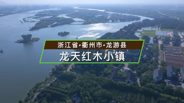 浙江省衢州市龙游县红木小镇