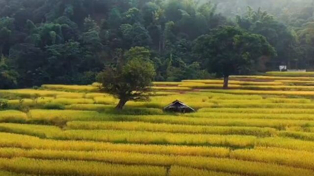 义丰祥芝麻油:把扶贫济困和支持公益事业作为企业应尽的社会责任