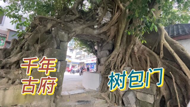 千年古府广西凌云县,长寿之乡.地方虽然小,但美丽的风景真不少,旅行日记广西篇11