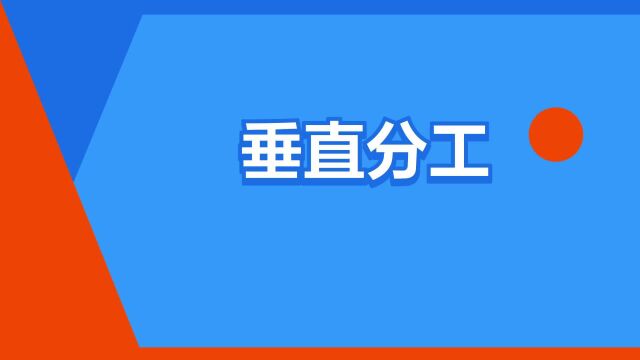 “垂直分工”是什么意思?