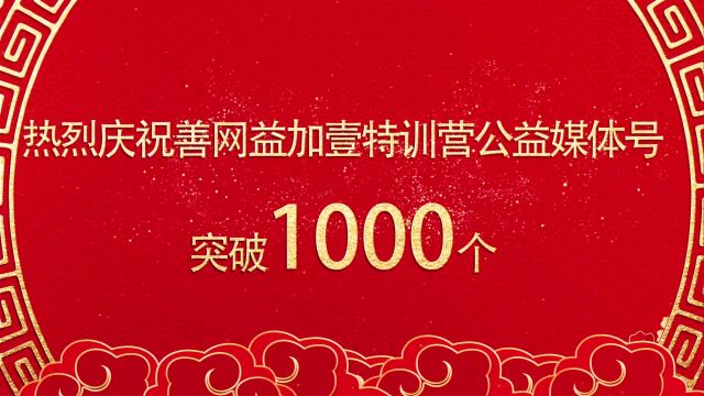 硕果累累|善网*益加壹特训营公益媒体账号突破1000个