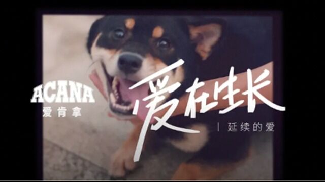 爱肯拿ACANA 「爱在生长」 邱明 