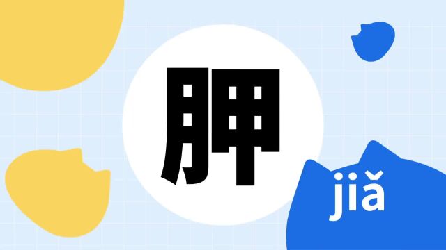 你了解“胛”字吗?