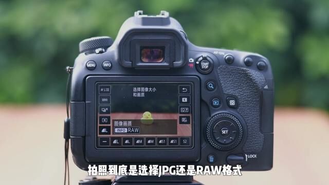 RAW格式和JPG格式的区别#摄影教学 #摄影