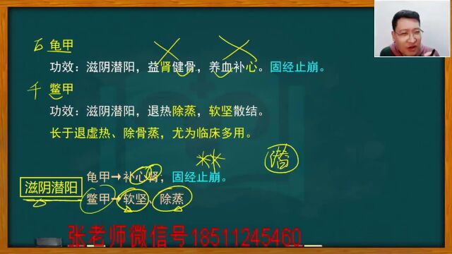 23年中药、方剂、针灸学习方法1