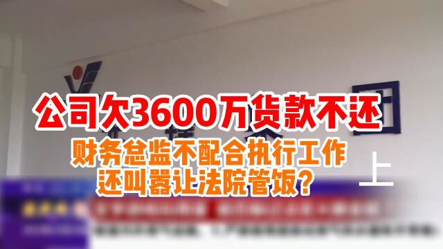 热源公司欠3600万货款不还,财务总监不配合法院工作竟还要求管饭