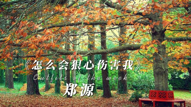 郑源《怎么会狠心伤害我》完整版