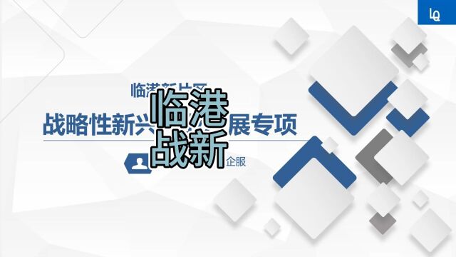 2023年上海市临港新片区战略性新兴产业发展专项资金申报