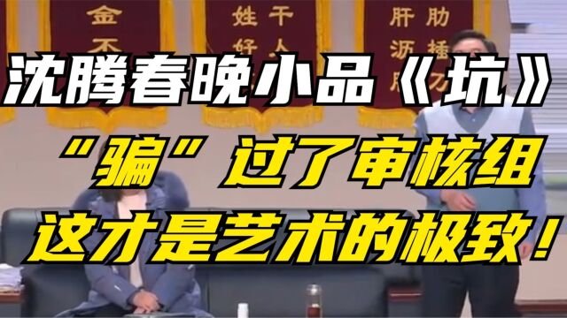 沈腾2023春晚小品《坑》“骗”过了审核组,这才是艺术的极致!