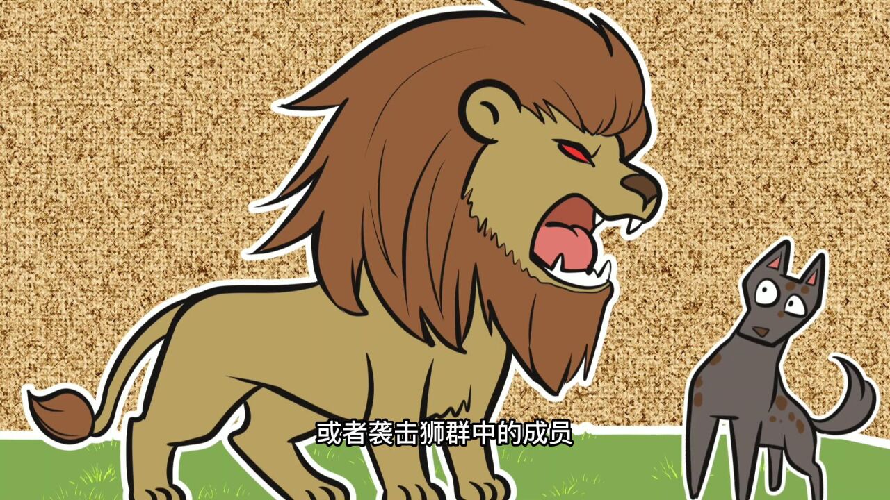 河东狮吼,为什么雄狮不狩猎?