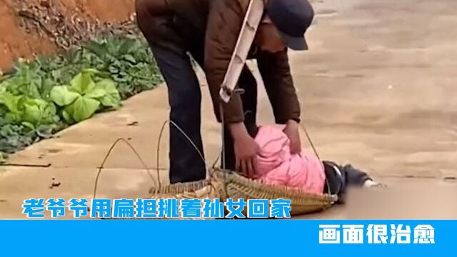 湖南老爷爷用扁担挑着孙女回家,画面很治愈,网友:仿佛看到自己