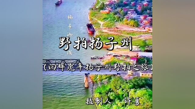 回眸扬子州野拍之旅,以视频方式展示野性之美,揭示人与自然和谐相处的美妙,从而达到用影像关注生物多样性,宣传自然