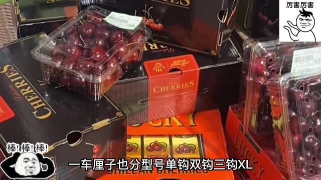 花大价钱买的车厘子不好吃?不懂这些,你就白买了