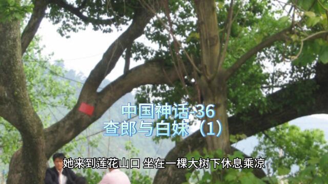 中国神话36查郎与白妹1