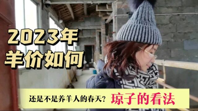 2023年羊价是涨是跌?还是咱养羊人的春天吗?琼子来分析一下