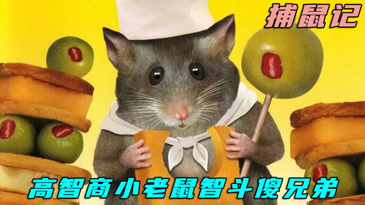 这只小老鼠的智商有三层楼那么高_世界太疯狂,耗子竟然要抓猫_高清1080P在线观看平台_腾讯视频