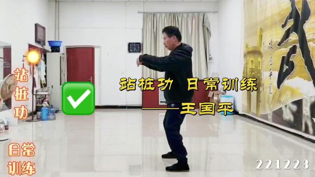 站桩功日常练习 王国平老师演练221228