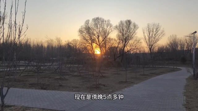 夕阳西下的小公园